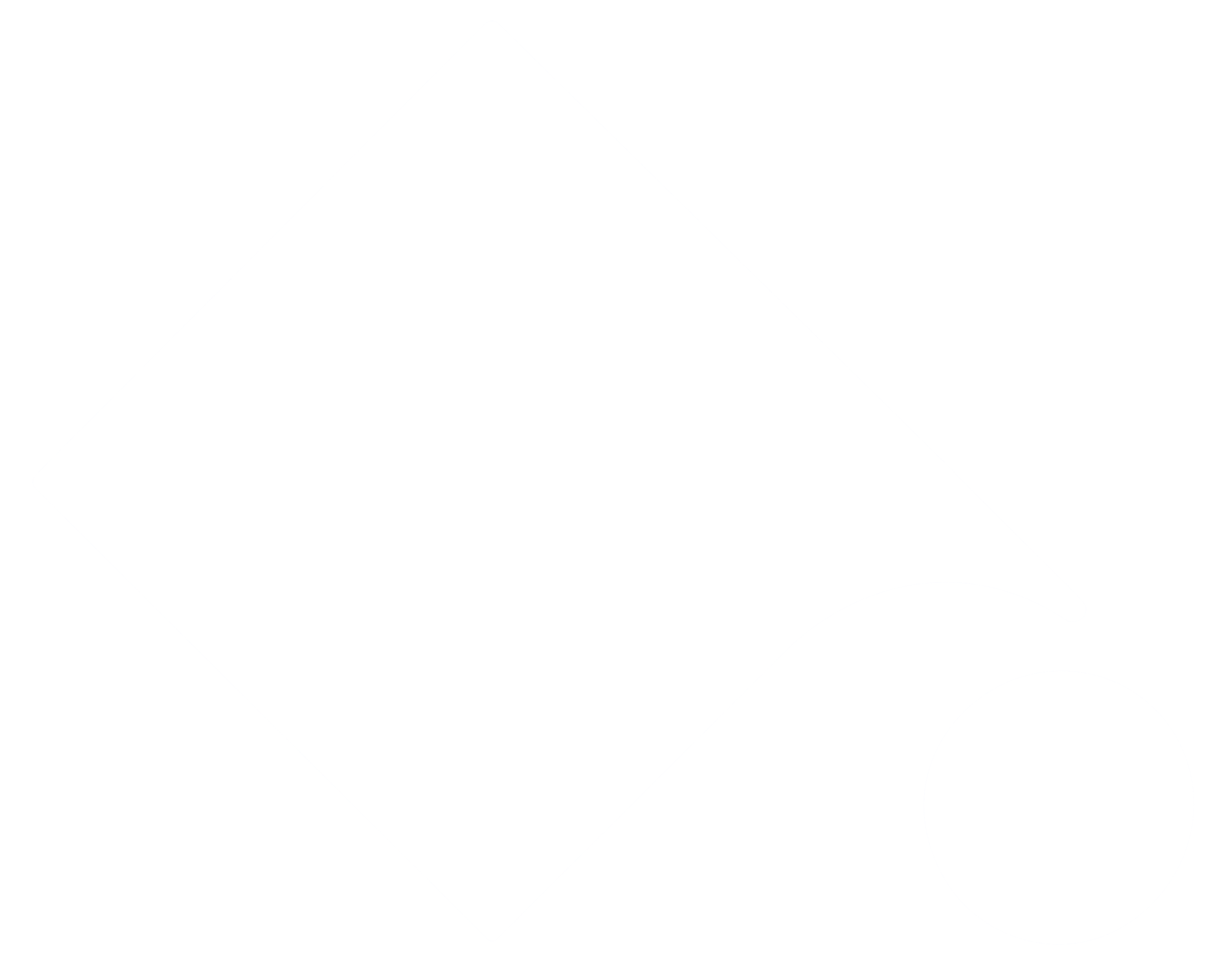 Luikki